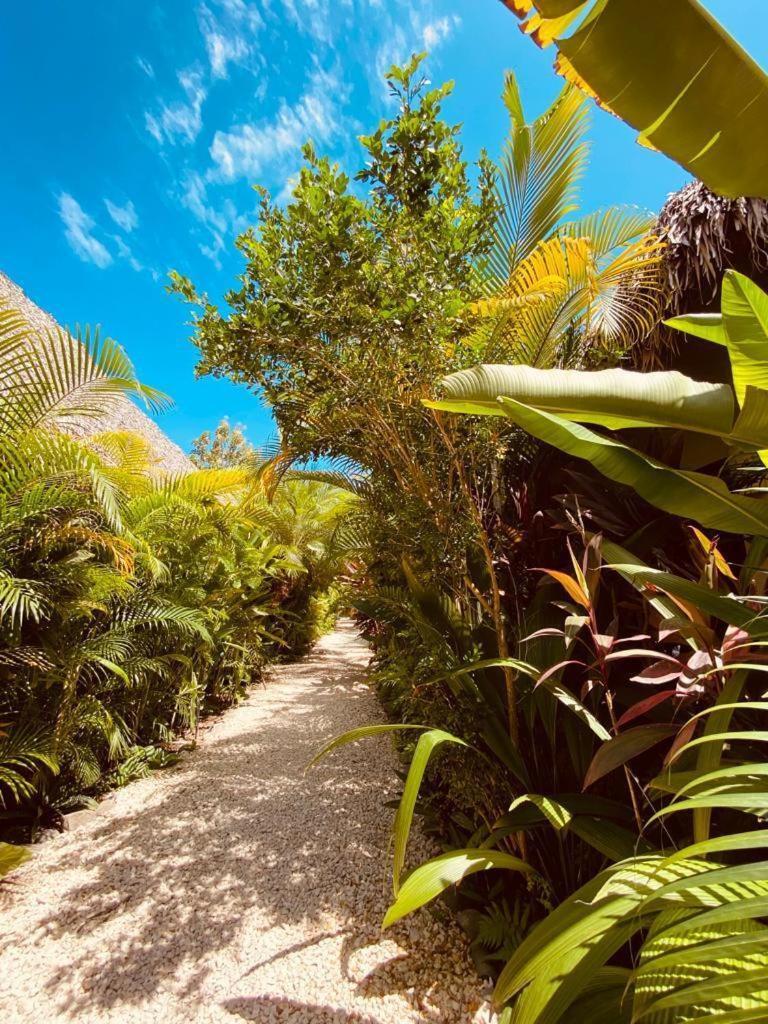 Villas Argan - Paradise Gateway Playa Santa Teresa  外观 照片